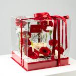 Red Velvet Luxury Box