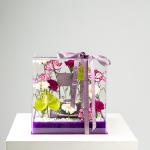 The Imperial Violet Box