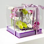 The Imperial Violet Box