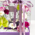 The Imperial Violet Box