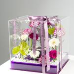 The Imperial Violet Box