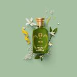 قوتشي ذا ألكيمستس غاردن 1921