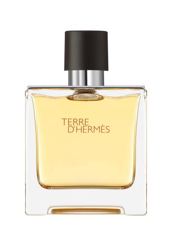 Terre D Hermes