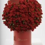 Dana – Famous Hot Sale: Spray Roses in a Box