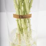 Matthiola in Clear Vase