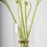 White Gerbera in Clear Vase