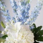 Elegant Delphinium