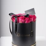 Fuchsia Noir