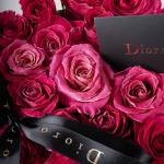 Fuchsia Noir