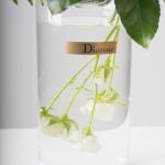 Hydrangea and Purple Matthiola