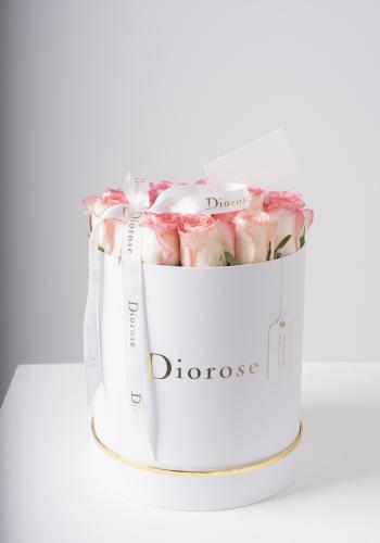 Creamy Blush