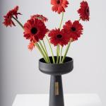 Gerbera Radiance in Black Elegance