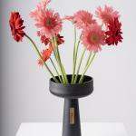 Gerbera Radiance in Black Elegance