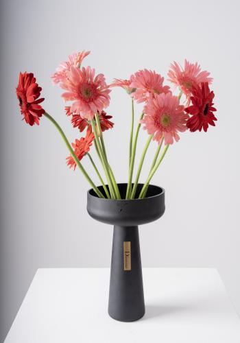 Gerbera Radiance in Black Elegance