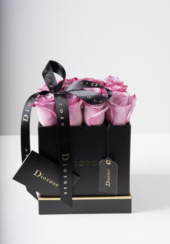 Midnight Rose
