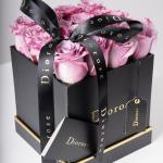 Midnight Rose