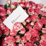 Dana – Famous Hot Sale: Spray Roses Bouquet
