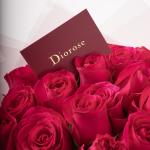 فوشيه – باقة ورود