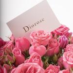 Soft Pink - Spray Rose Bouquet