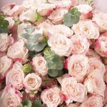 Blush kiss - Spray Rose Bouquet with Eucalyptus