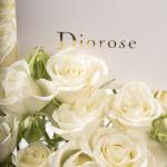 Dana – Famous Hot Sale: Spray Roses in a Box