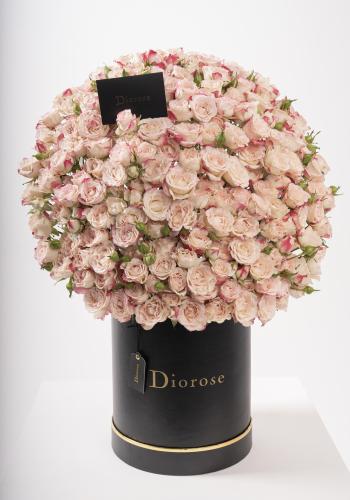 Dana – Famous Hot Sale: Spray Roses in a Box