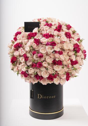 Dana – Famous Hot Sale: Spray Roses in a Box