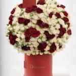 Dana – Famous Hot Sale: Spray Roses in a Box