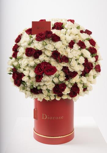 Dana – Famous Hot Sale: Spray Roses in a Box