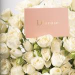 Dana – Famous Hot Sale: Spray Roses in a Box
