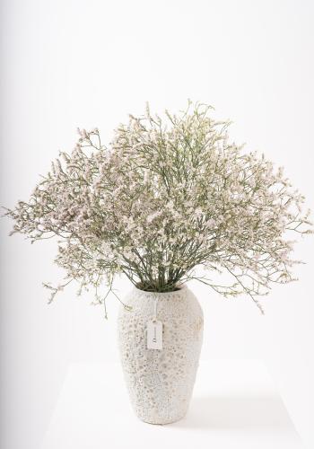 Limonium in White Textured Ceramic Vase