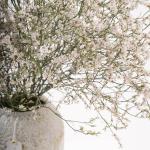 Limonium in White Textured Ceramic Vase