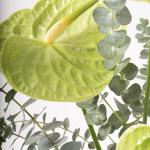 Ceramic Vase with Green Anthurium & Eucalyptus