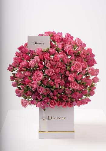 Dana – Famous Hot Sale: Spray Roses in a Box