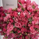 Dana – Famous Hot Sale: Spray Roses in a Box