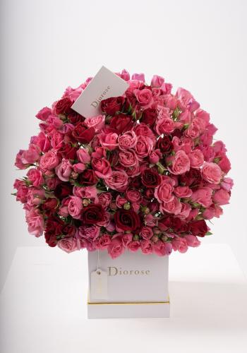 Dana – Famous Hot Sale: Spray Roses in a Box