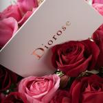 Dana – Famous Hot Sale: Spray Roses in a Box