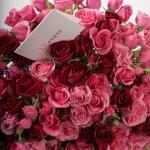 Dana – Famous Hot Sale: Spray Roses in a Box