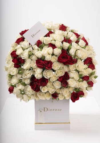 Dana – Famous Hot Sale: Spray Roses in a Box