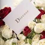 Dana – Famous Hot Sale: Spray Roses in a Box