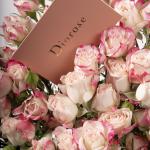 Dana – Famous Hot Sale: Spray Roses in a Box