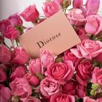 Dana – Famous Hot Sale: Spray Roses Bouquet