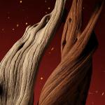 Gucci The Alchemist's Garden Lignum Idealis EDP