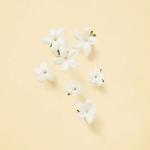 Gucci The Alchemist's Garden Tears From the Moon EDP