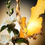 عطر هيوغو بوس ذا سينت أو دو برفيوم