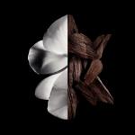 Givenchy Gentleman EDP Boisée 100ml