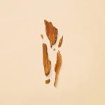 غوتشي غيلتي أبسلوت بور فام أو دو بارفان 90ml