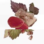 هيرميس لامبري دي ميرفيليس أو دو بارفان 100ml