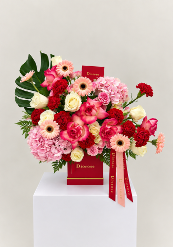 Bellora