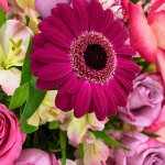 Fleur Amour